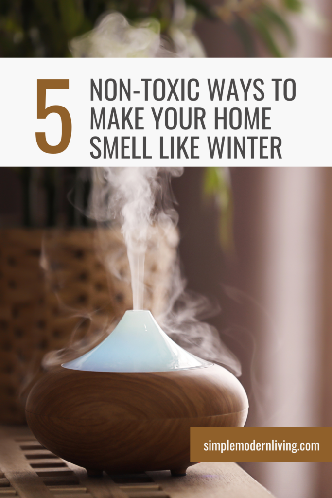 An essential oil diffuser in front of a plant is one of the non-toxic ways to make you home smell like winter